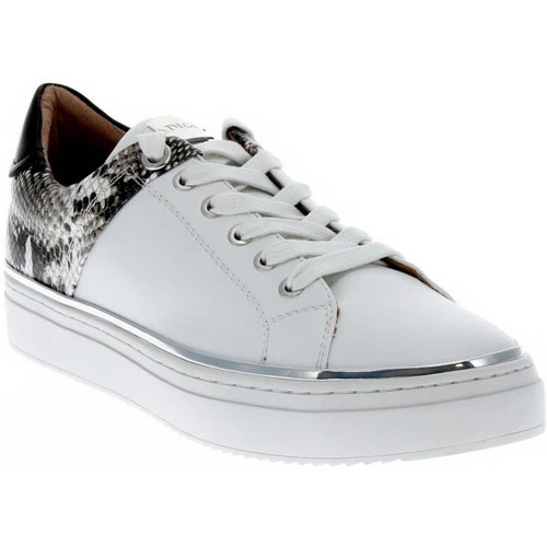 Adige QUENTIN Couleur ICE 3 Adige QUENTIN Couleur ICE