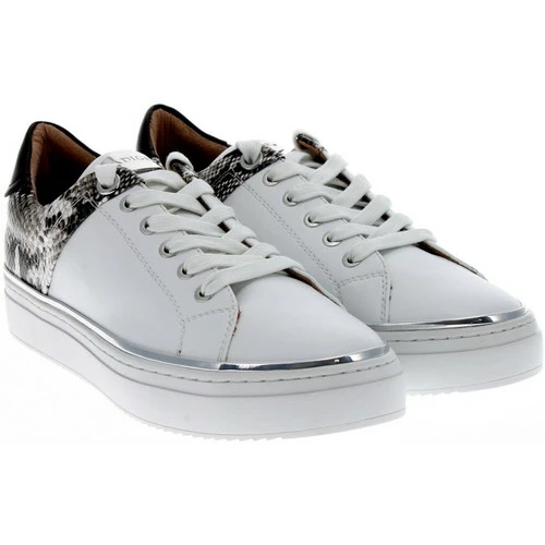 Adige QUENTIN Couleur ICE 4 Adige QUENTIN Couleur ICE – Image 2