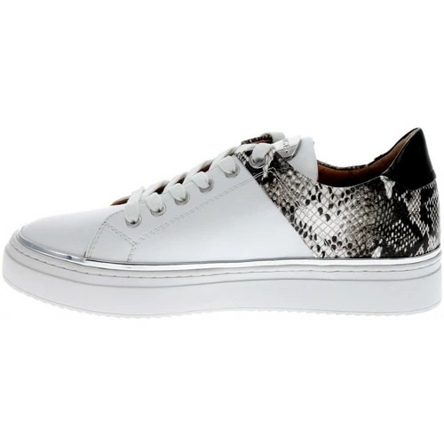 Adige QUENTIN Couleur ICE 5 Adige QUENTIN Couleur ICE – Image 3